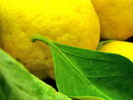 Лимоны крупным планом