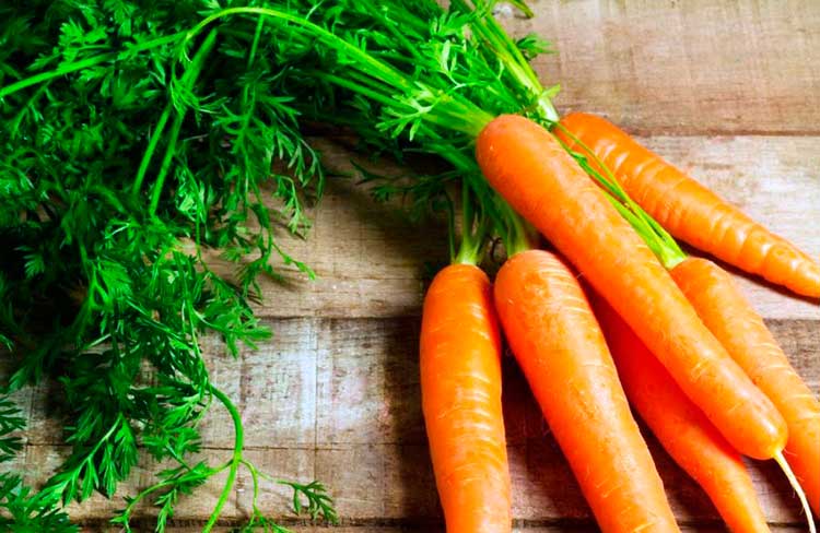 Морковь - ценное овощное и лекарственное растение. Фото: optometristsclinic.com