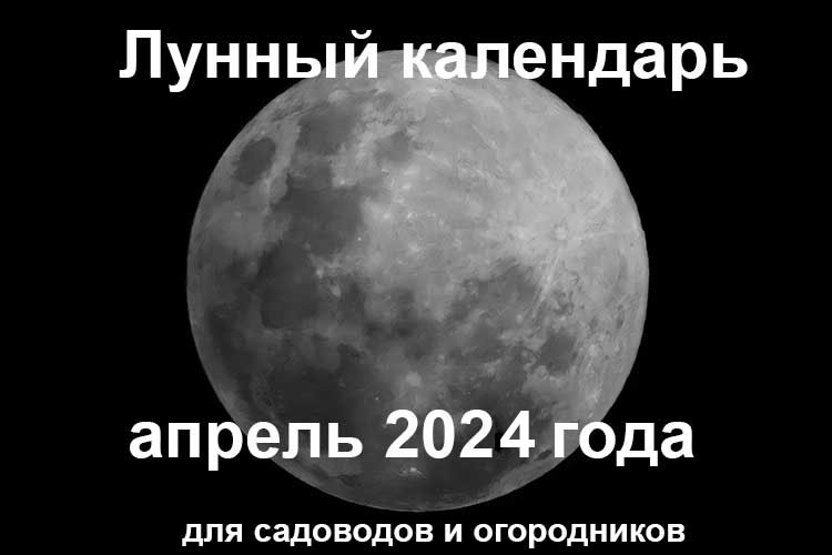 Лунный календарь садовода на апрель 2024 года