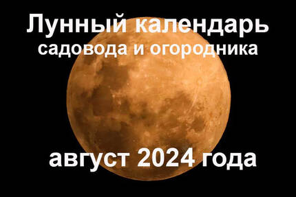 Лунный календарь на август 2024 года