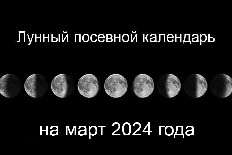 Лунный календарь садовода и огородника на март 2024 года