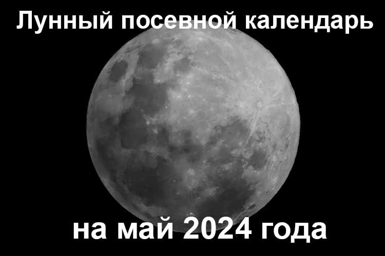 6 апреля 2024 какой лунный день. Луна 2024 год. Лунный календарь 2024. Лунный календарь на 2024 год. Лунный календарь на июль 2024.