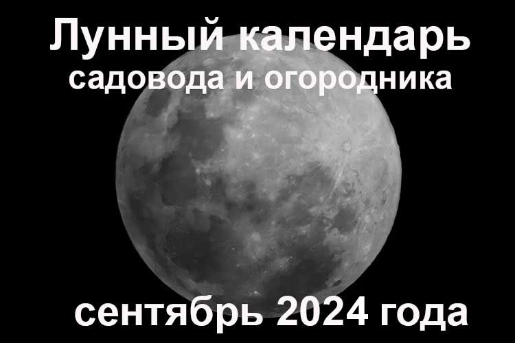 Лунный календарь садовода и огородника на сентябрь года