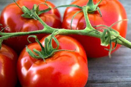 Польза помидоров для здоровья