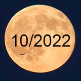 Лунный календарь садовода и огородника на октябрь 2022 года