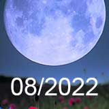Лунный календарь садовода и огородника на август 2022 года