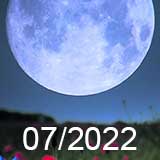 Лунный календарь садовода, огородника, цветовода на июль 2022 года