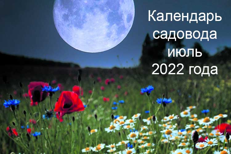 Луна в июле. Фото: www.countrygardener.co.uk Лунный календарь садовода и огородника на июль 2022 года.