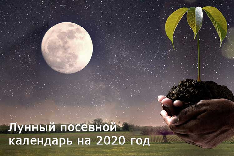 Лунный посевной календарь на 2020 год Лунный посевной календарь на 2020 год